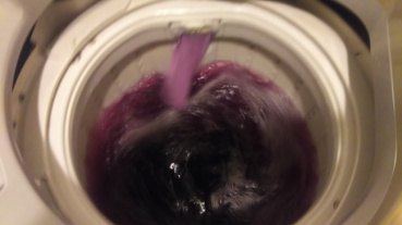 まめの評価写真