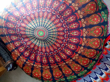 しまの評価写真