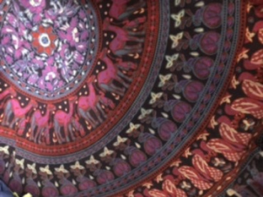 フカヒレチョコレートの評価写真