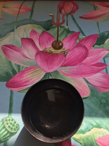 Aromiticoの評価写真