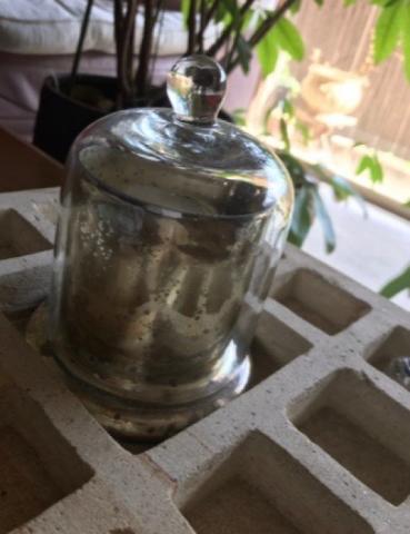 さらすば亭の評価写真