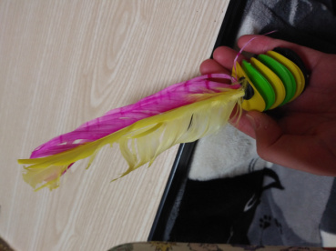 匿名希望の評価写真