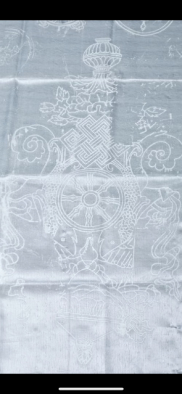 朝日奈の評価写真