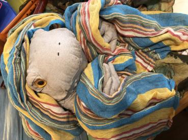 ユポの評価写真