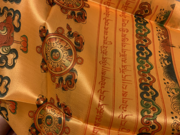 朝日奈の評価写真