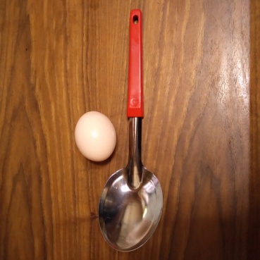 チョビの評価写真