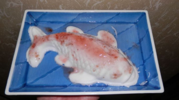 yujinの評価写真