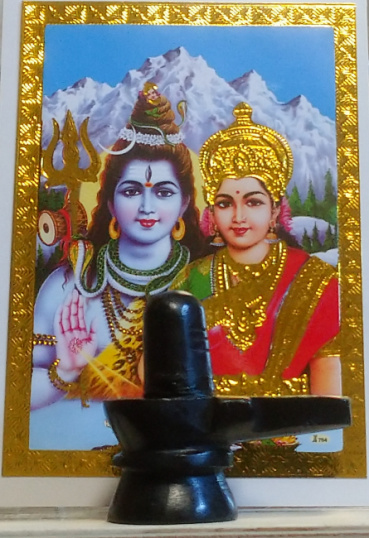 マトンどピアザの評価写真