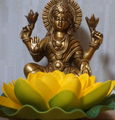 マトンどピアザの評価写真