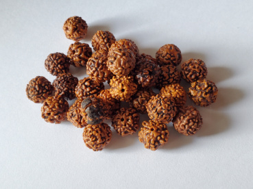 匿名希望の評価写真