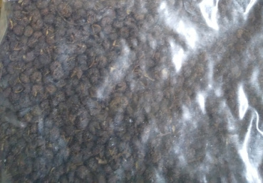 カレーの人の評価写真