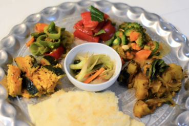 ハルの評価写真