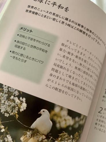 カヤの評価写真