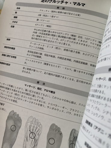 カヤの評価写真