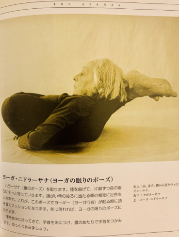 カヤの評価写真