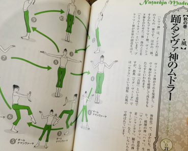カヤの評価写真