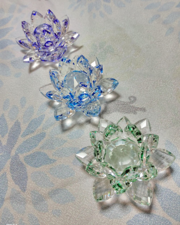 ayacoの評価写真