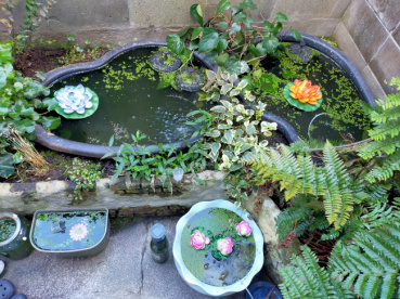 たかはしあおいの評価写真