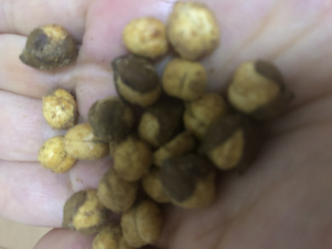 ゆかリスの評価写真