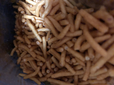 ゆかリスの評価写真