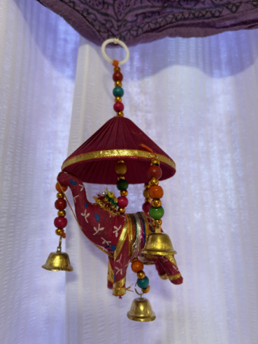 タートルの評価写真