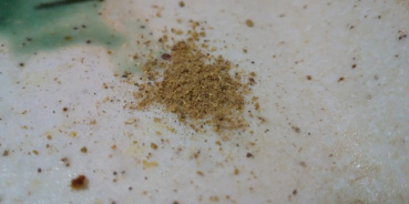 みーの評価写真