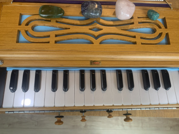 シャンティの評価写真