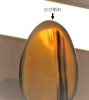 yujinの評価写真