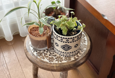 yotchanmanの評価写真