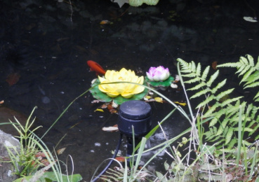 yujinの評価写真