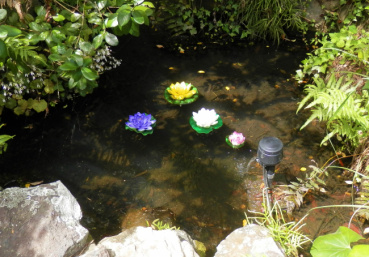 yujinの評価写真