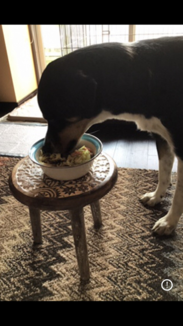 るなの評価写真