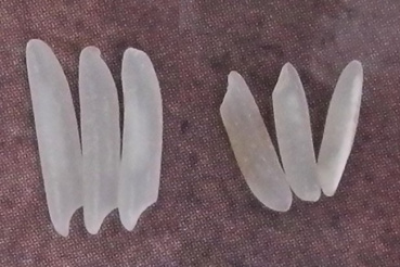 yujinの評価写真