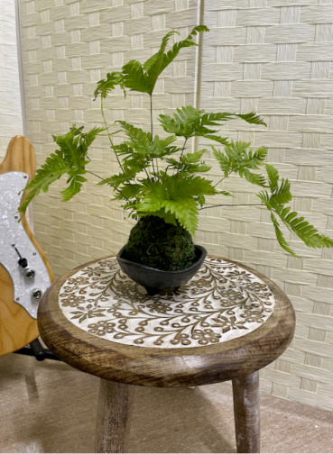 ミッキー原の評価写真