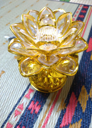 くまちゃんの評価写真