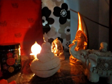 チビちゃんの評価写真