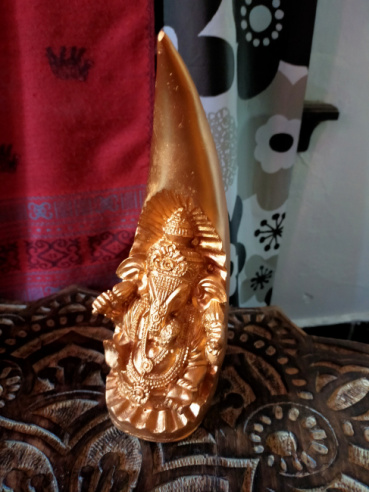 チビちゃんの評価写真