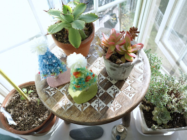 Nohanaの評価写真