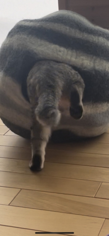 らららの評価写真