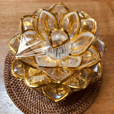 さいこの評価写真