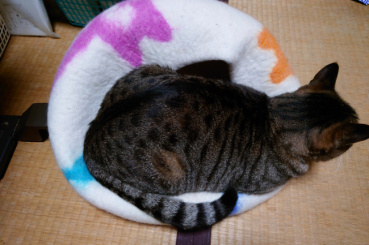 匿名希望の評価写真