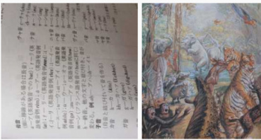 ハス・ハスの評価写真