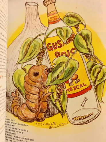 カヤの評価写真