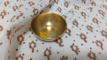 Wakamatsuの評価写真