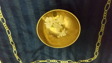 Wakamatsuの評価写真