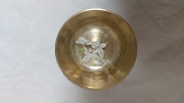 Wakamatsuの評価写真