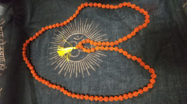 Wakamatsuの評価写真