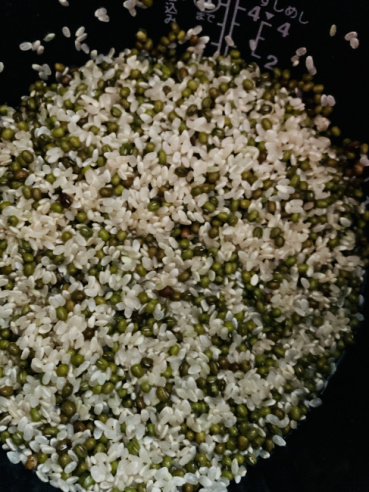 カヤの評価写真