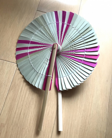 イルカの評価写真