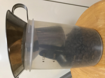 イルカの評価写真